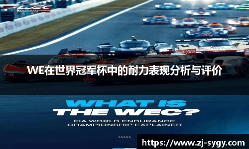 WE在世界冠军杯中的耐力表现分析与评价